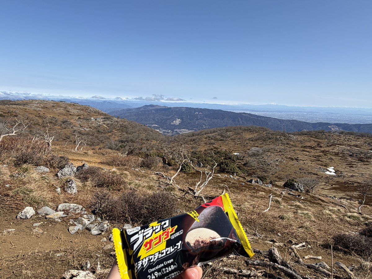 こんぺい tweet media