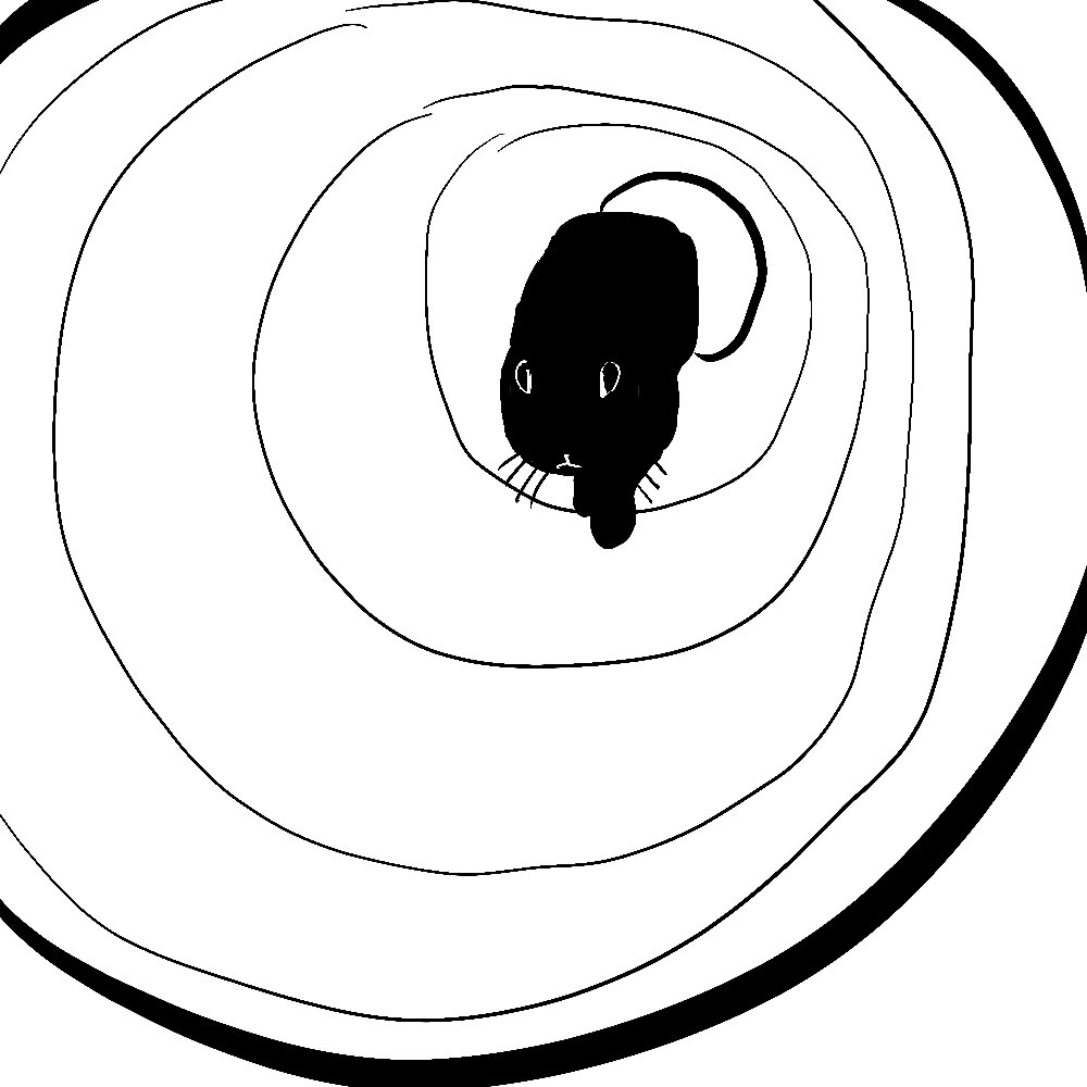 토끼 그리는 계정 tweet media