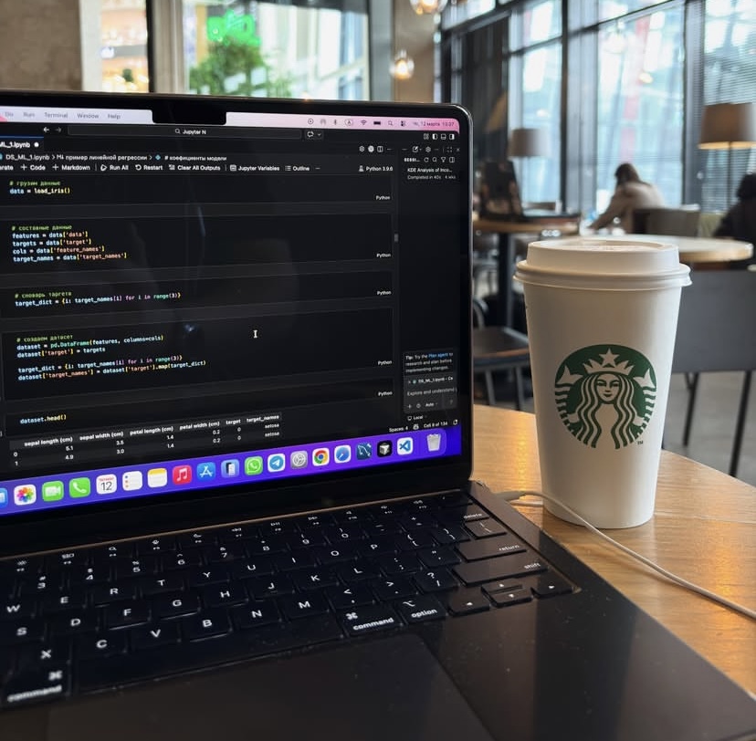 NZ ☄️ tweet media