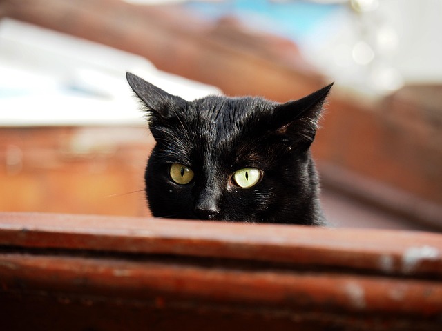 Jake Bethea tweet media