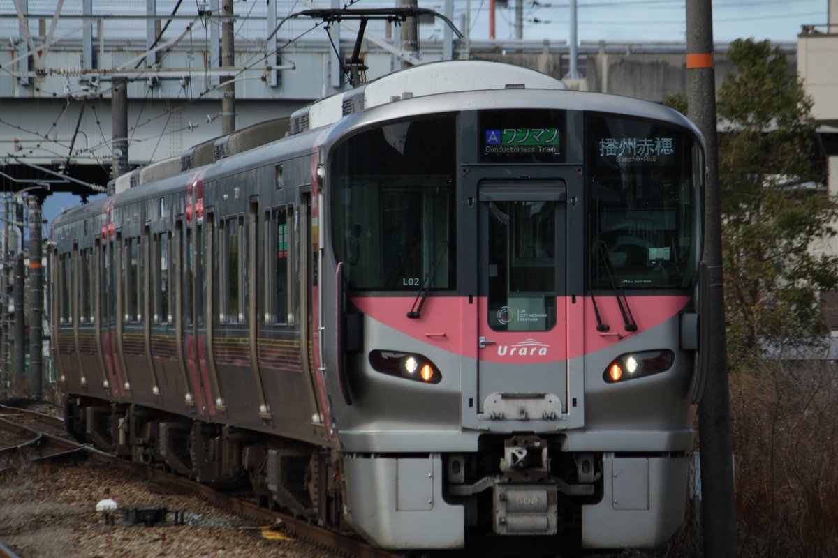 おかやマニア tweet media