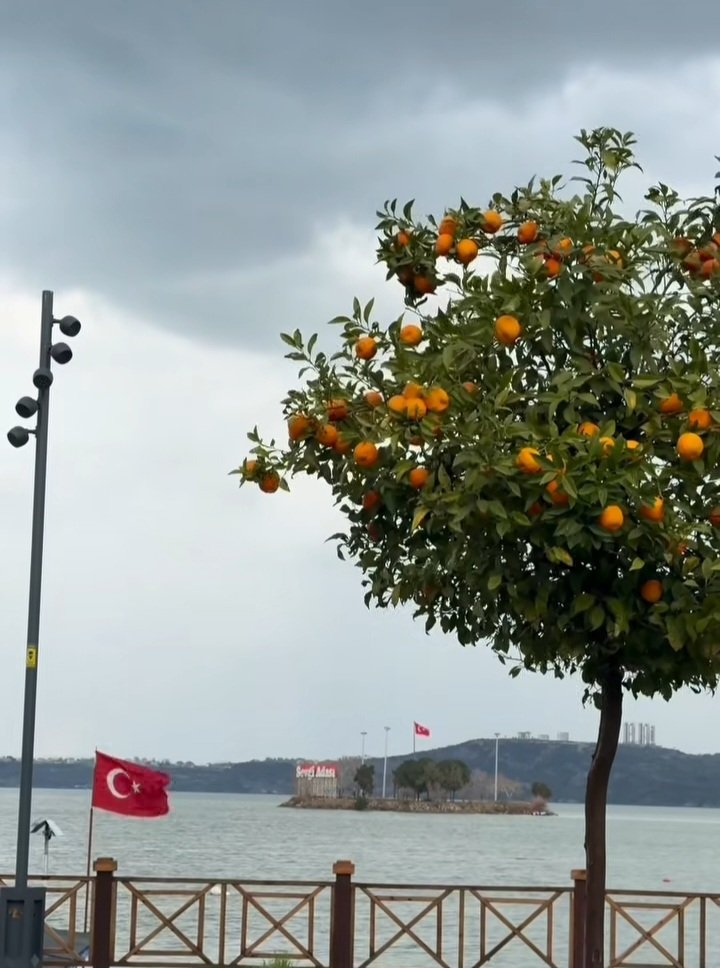 Yağmur da ayrı yakışıyor şehre❤️🌧🌩