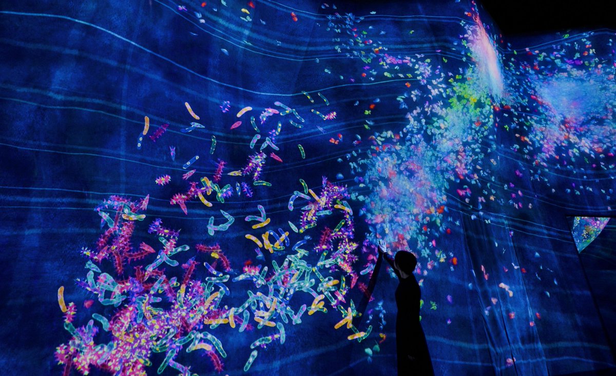チームラボ プラネッツ teamLab Planets TOKYO tweet media