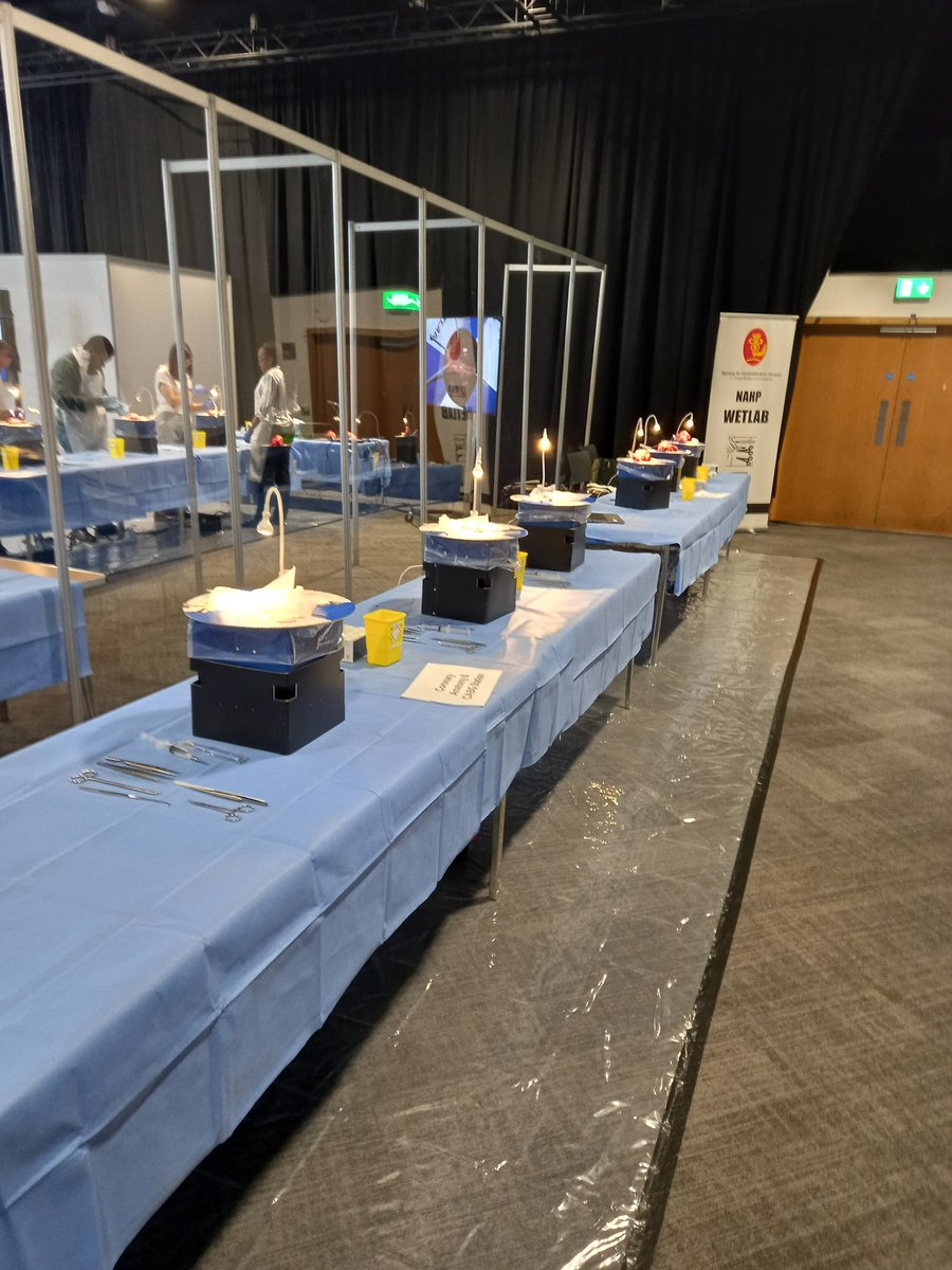 Shahzad77891064's tweet photo. Hands-on learning at SCTS Annual Meeting 2026! Wetlab for trainees &amp; NAHPs - don't miss the chance to hone your skills with expert faculty. Limited spots available! #SCTS2026 #wetlab #training https://t.co/oNsanLqdUN