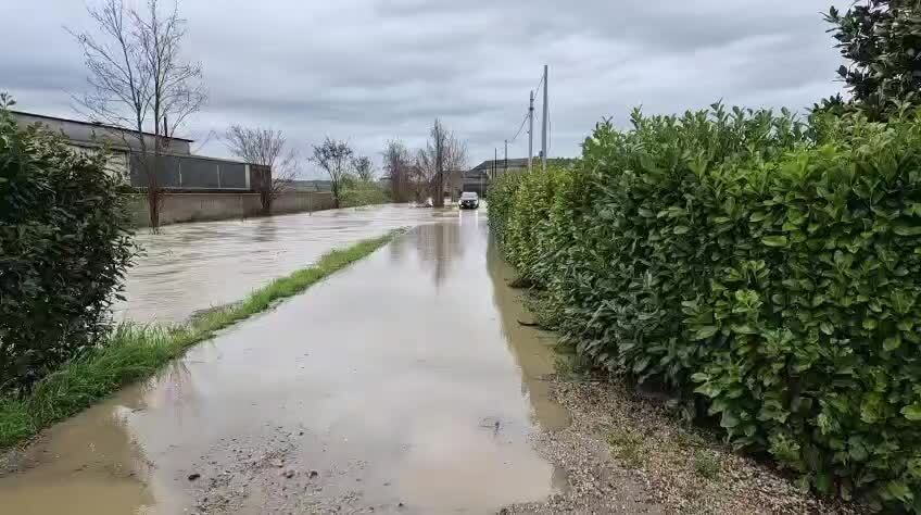 PCProvAL's tweet photo. 15 Marzo 2026 ore 10:30
⚠️ si segnalano problematiche sul torrente #Rotaldo tra #Occimiano e #CasaleMonferrato.
Al momento l'acqua ha lambito strada che porta ad alcune cascine
#AllertaMeteo_PIE https://t.co/d9Kpo1KZWT https://t.co/8rHKAThAmW