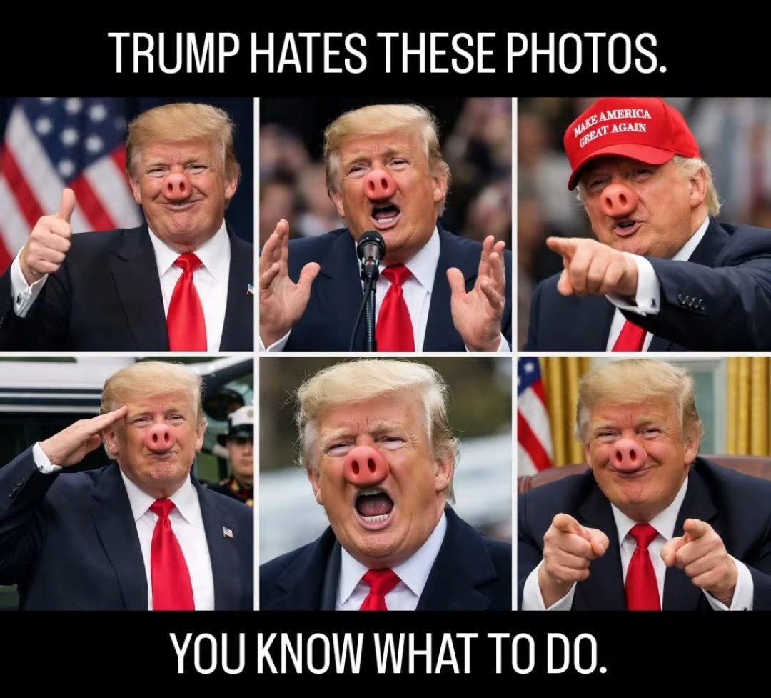 SHUT THE FUCK UP PIGGY 🤬🤬