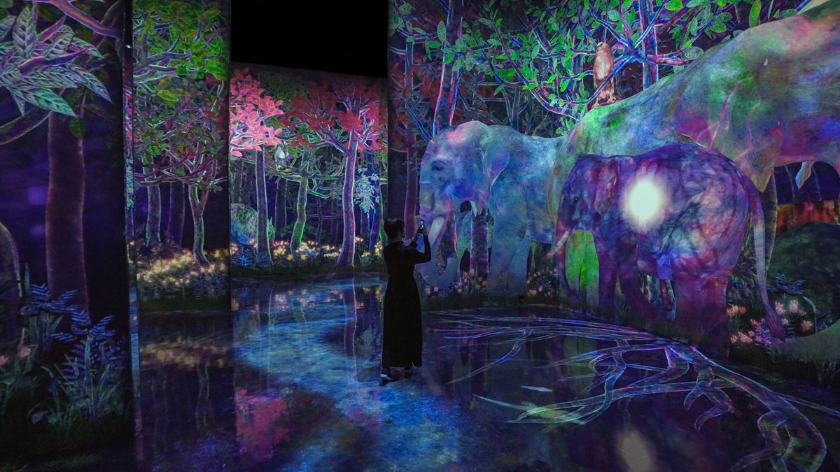 チームラボ プラネッツ teamLab Planets TOKYO tweet media