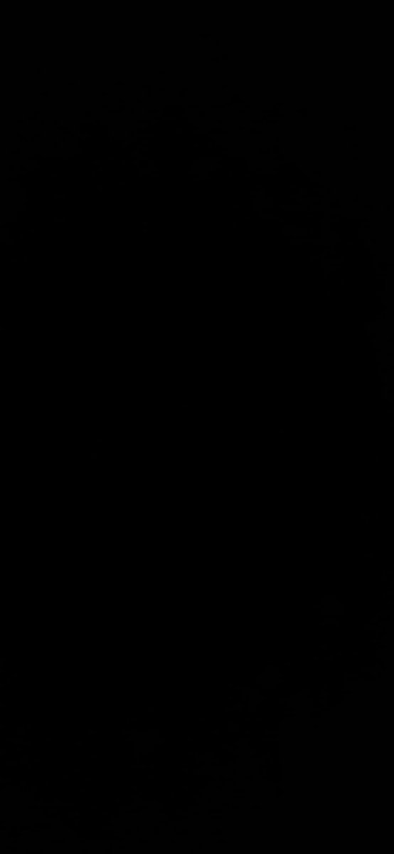 shenanigans tweet media