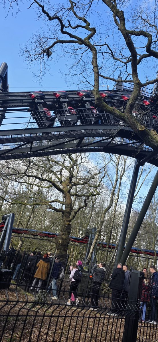 shenanigans tweet media