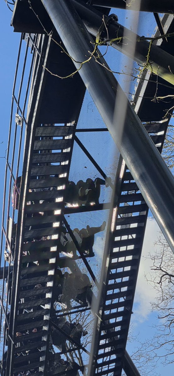 shenanigans tweet media