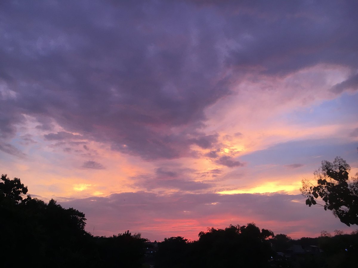 𝓯 ivè 🍵🍡🧘🏼‍♀️🥝 tweet media