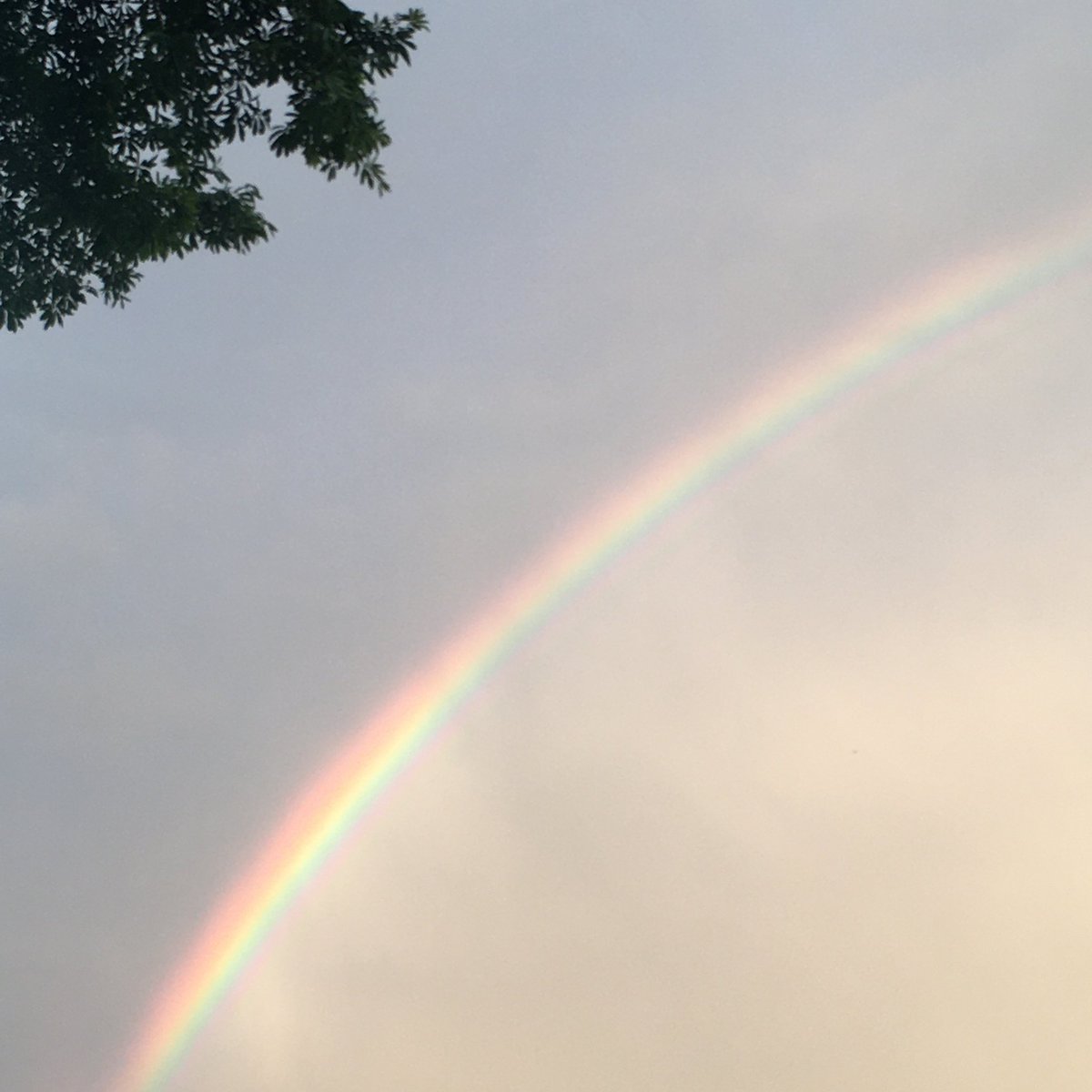 𝓯 ivè 🍵🍡🧘🏼‍♀️🥝 tweet media