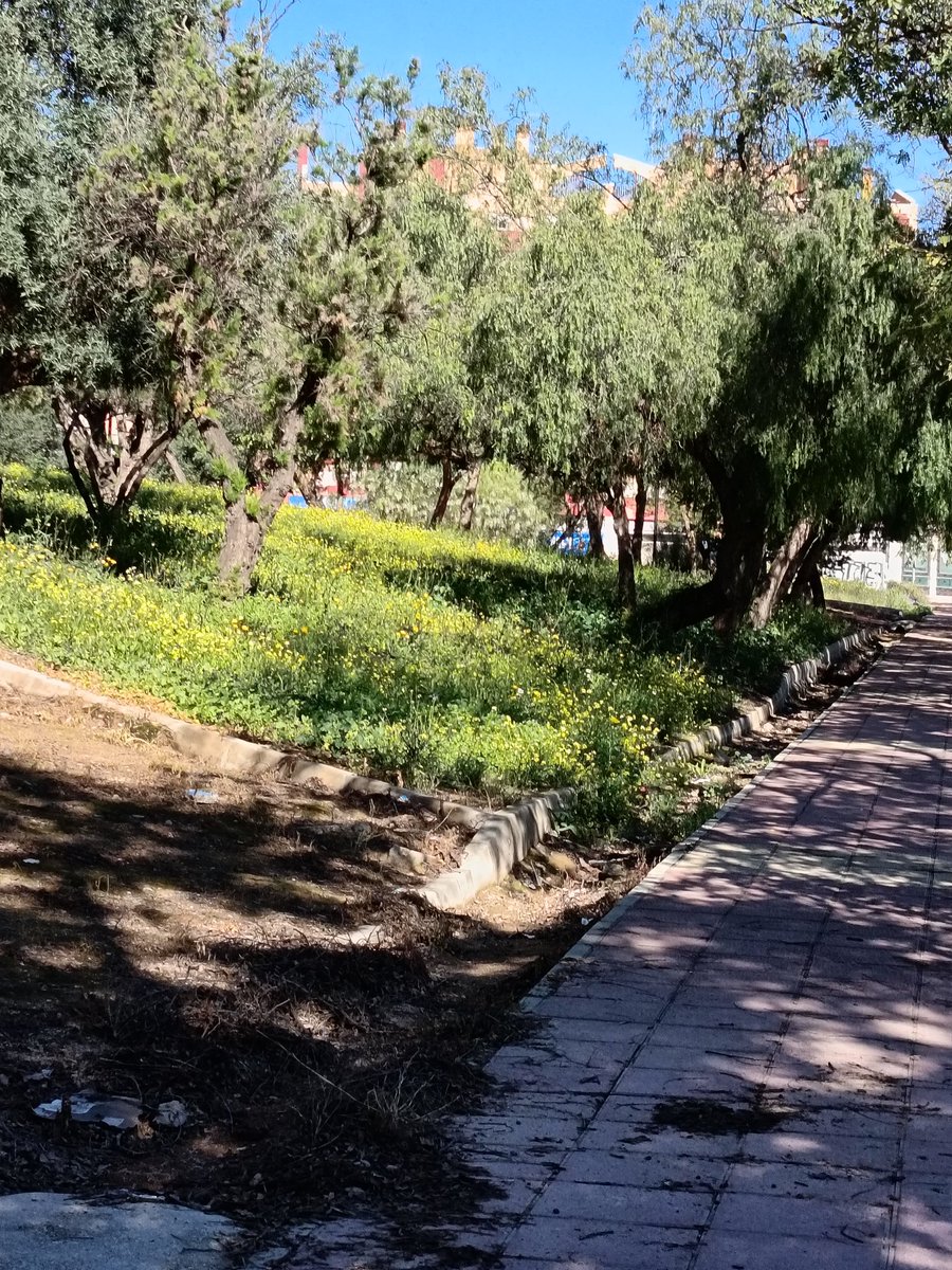 lvsu1984's tweet photo. Un cariño al parque el desierto Jardín Tirocosa en  Espinardo para que disfrutemos con los pekes de lugares limpios  @AytoMurcia https://t.co/a3wXx2wvIY