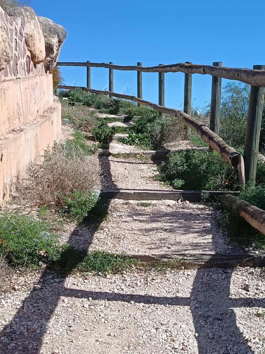 lvsu1984's tweet photo. Un cariño al parque el desierto Jardín Tirocosa en  Espinardo para que disfrutemos con los pekes de lugares limpios  @AytoMurcia https://t.co/a3wXx2wvIY