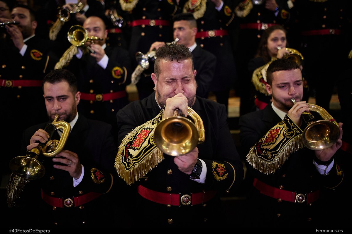 Fermín Rodríguez tweet media