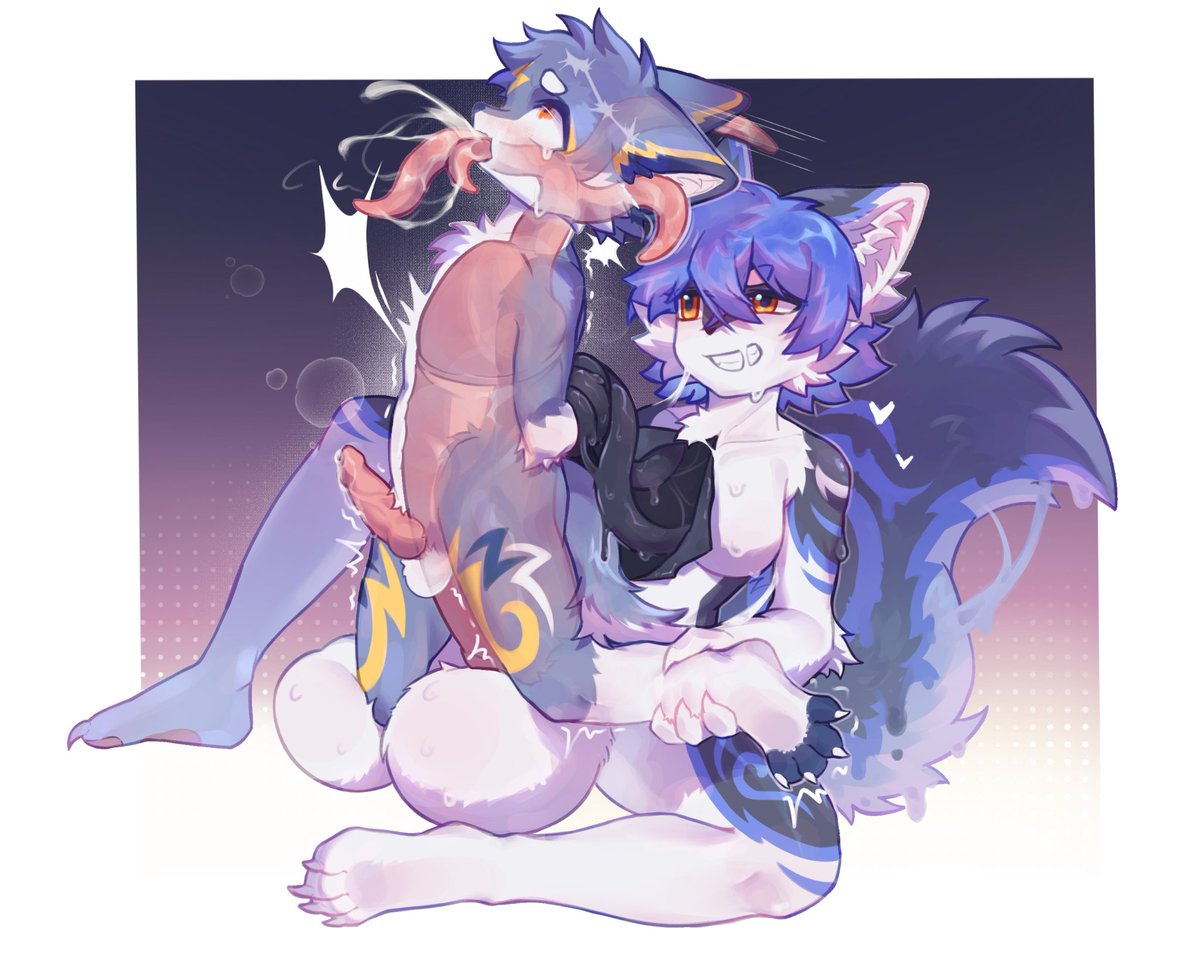 是一只半白 tweet media