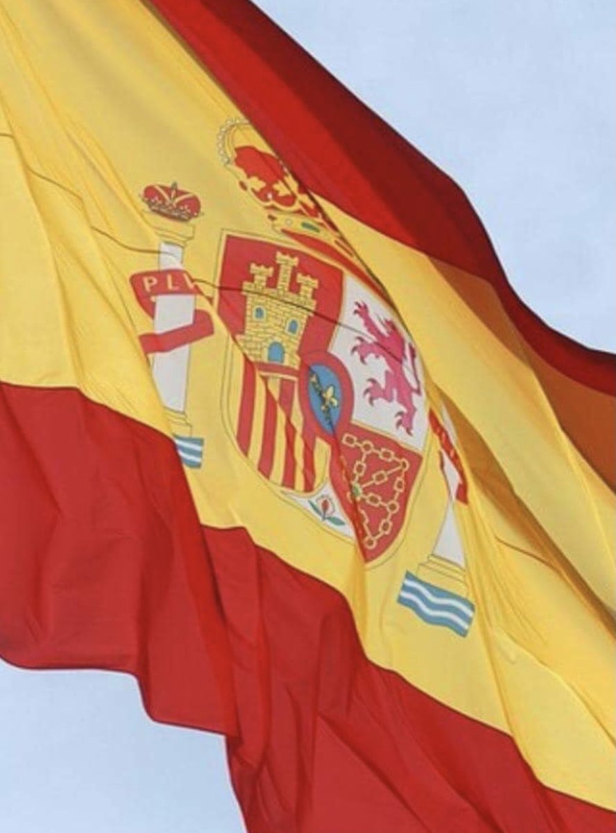 Hoy se ha quedado
buen día para decir:

ARRIBA ESPAÑA. 🇪🇸 

Te sumas?