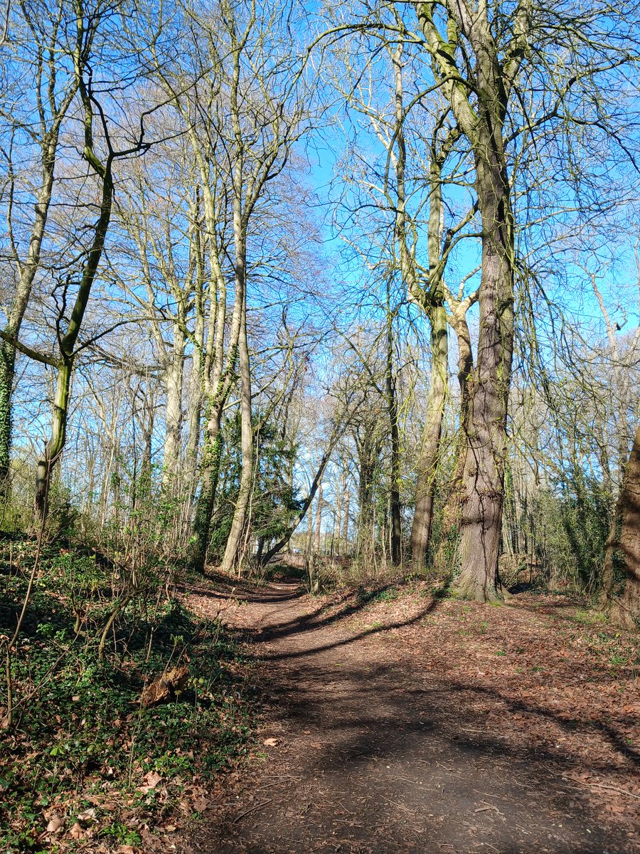 luckasdelille59's tweet photo. Après avoir fais mon devoir civique, je suis parti en balade avec ce beau soleil à #Lille au long de la #Deule et au parc de la #Citadelle rien de mieux que de se connecter à la nature 🌞 
À toute à l'heure 🌻🌞🕊 https://t.co/NsMTDmPefT