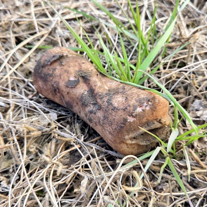 ちーとん。 tweet media