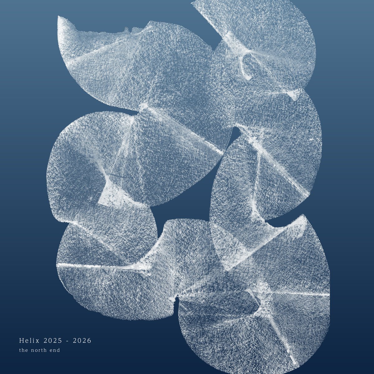 KAZUTOSHI EGUCHI ( FeLid / the north end ) tweet media