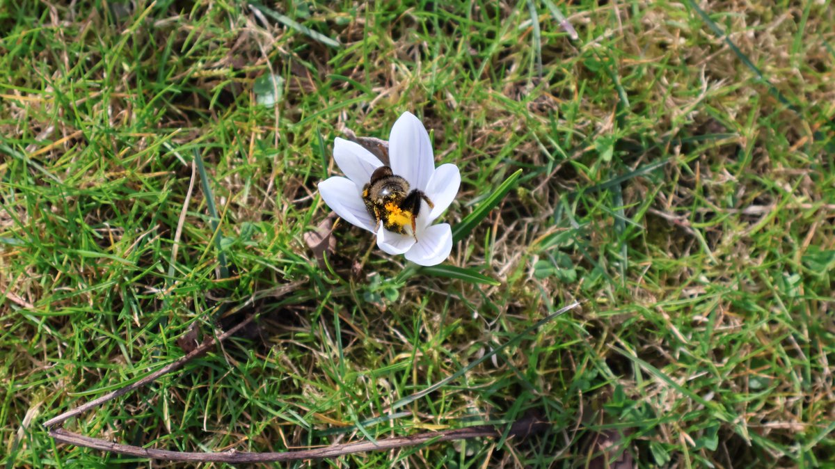 PMD486's tweet photo. 🤍🐝 #Sunbeeday
📷 2026-03-12 https://t.co/MC5XPcXPtP