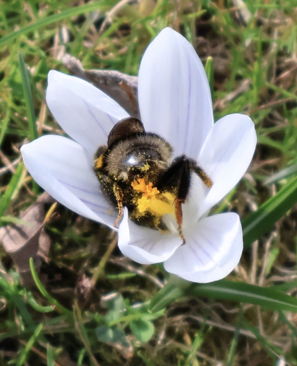 PMD486's tweet photo. 🤍🐝 #Sunbeeday
📷 2026-03-12 https://t.co/MC5XPcXPtP