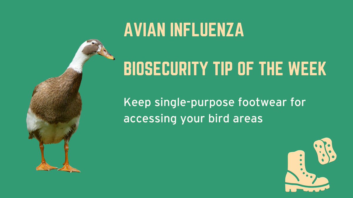 Warrington Trading Standards tweet media