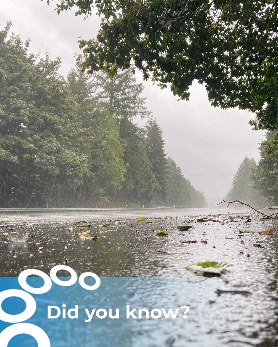 ECSurfacingLTD's tweet photo. Road surfaces take a constant beating from weather and traffic - resurfacing at the right time prevents bigger issues later on 📉🚧

#ecsurfacing https://t.co/uoqMHcTgAp