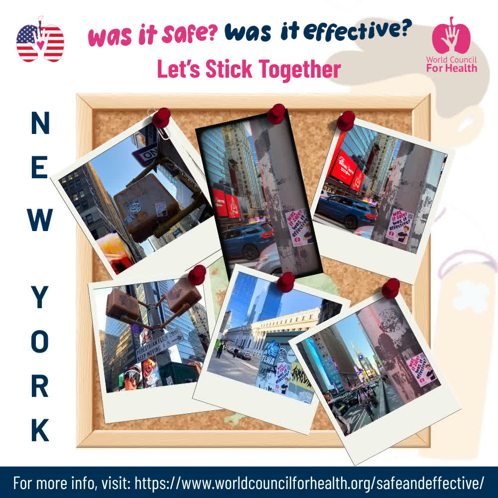 World Council for Health (WCH) tweet media