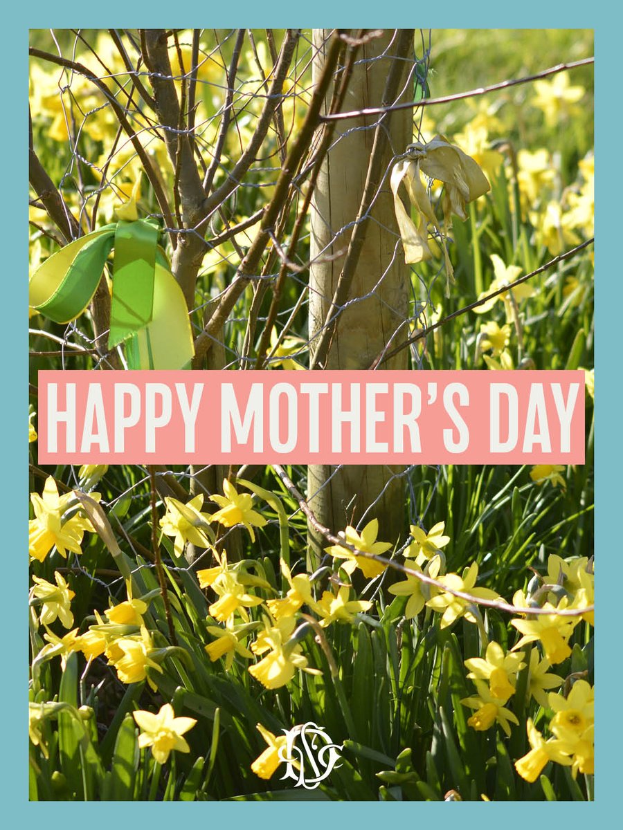 Dulwich Cranbrook tweet media