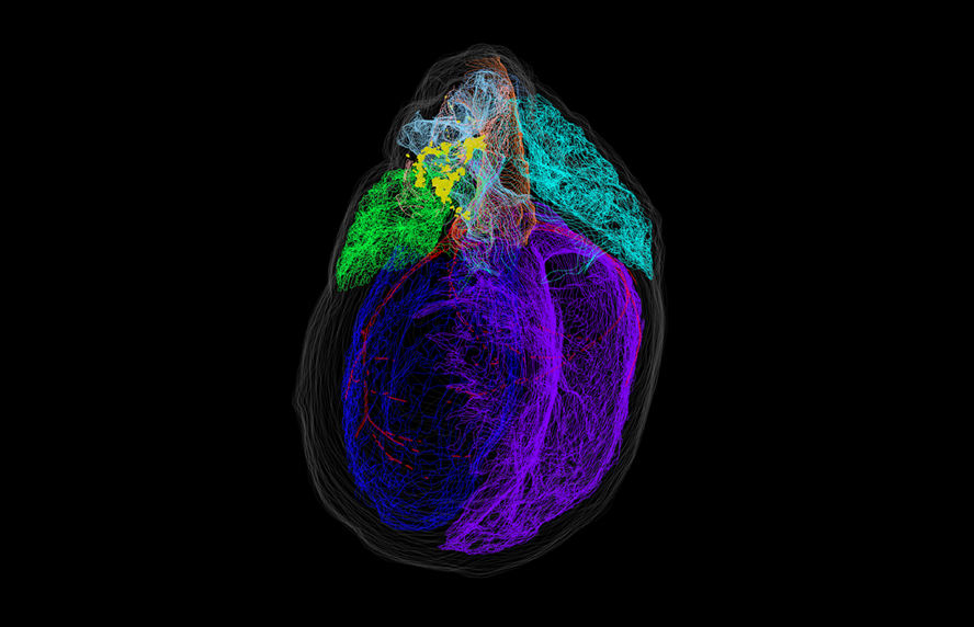 Jay Anderson tweet media