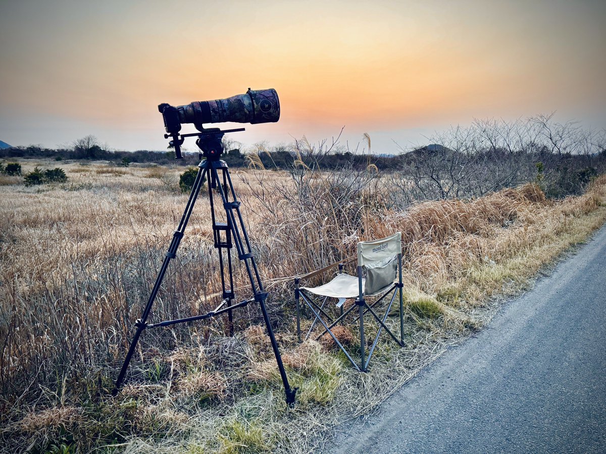 まいる tweet media