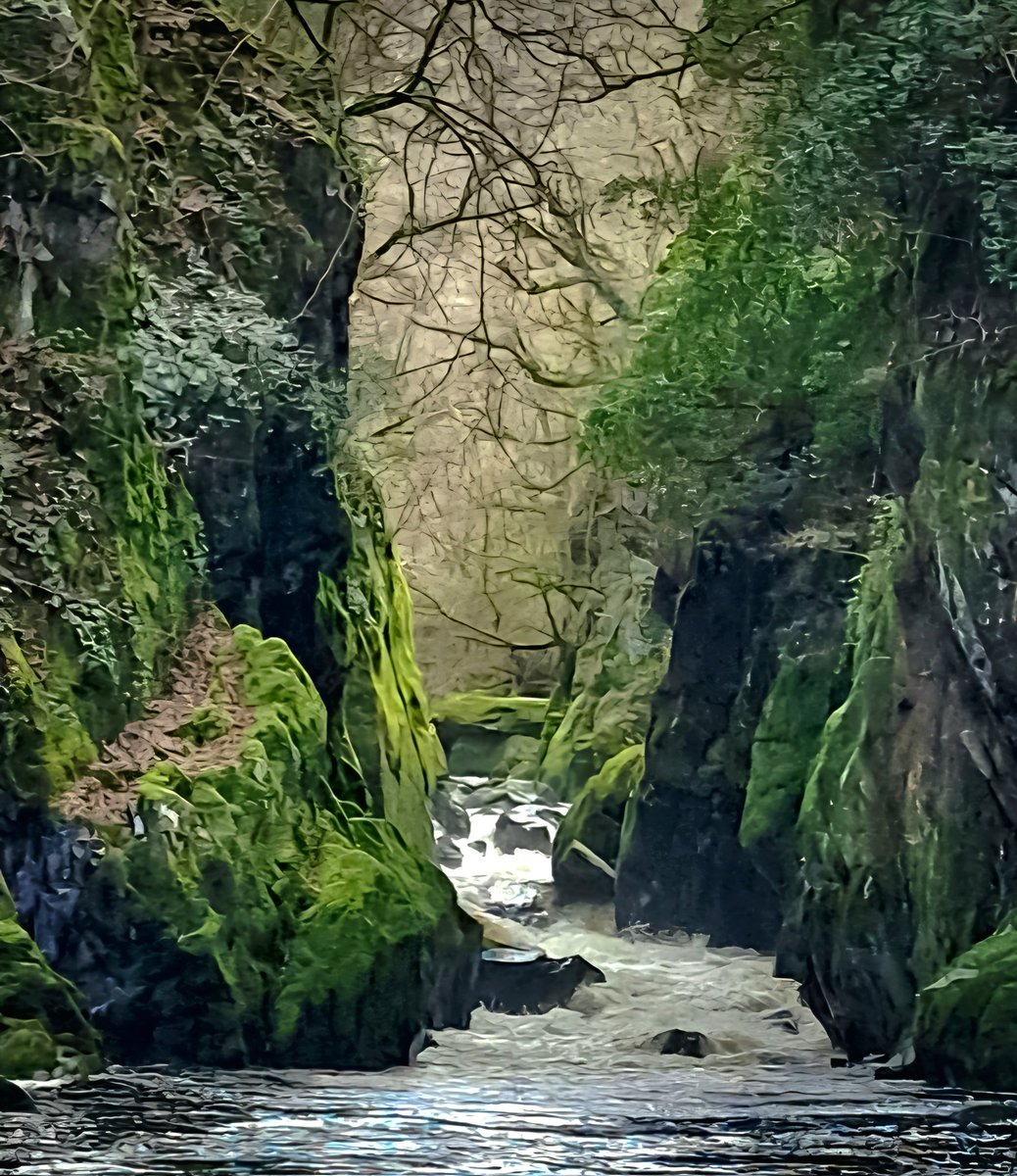 It's Your Wales tweet media