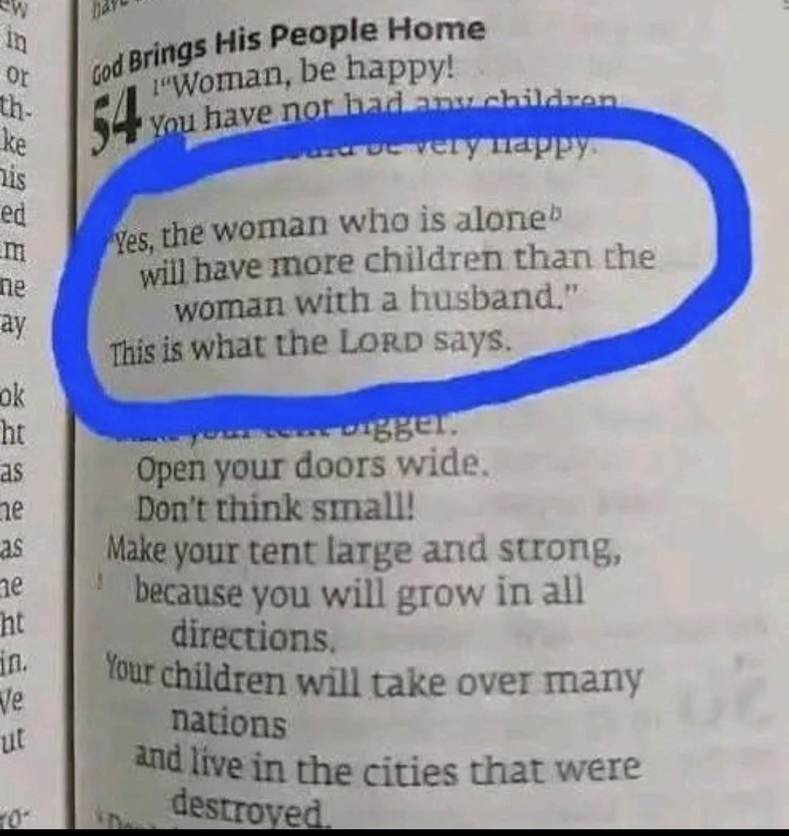 𝔸b𝕒𝕫𝕫 tweet media