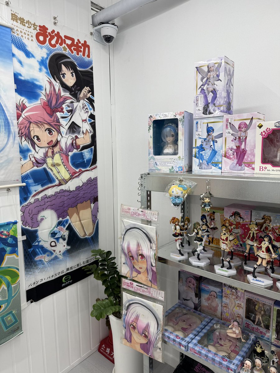 시로모 シロモ tweet media