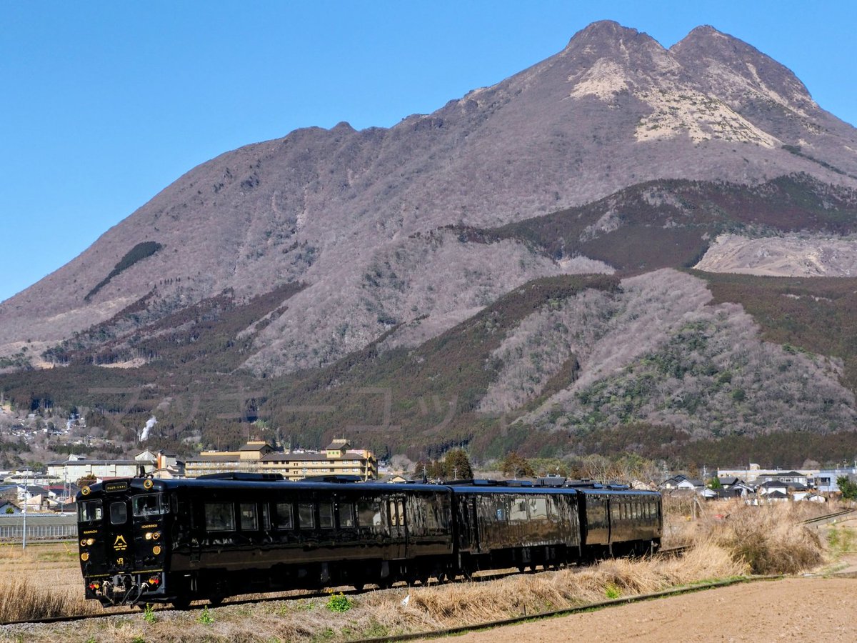 マッキーユッキー tweet media