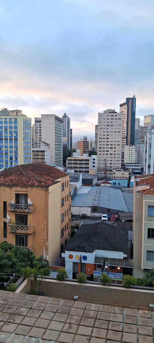 Nat Ambrizzi | BulbaSauro tweet media