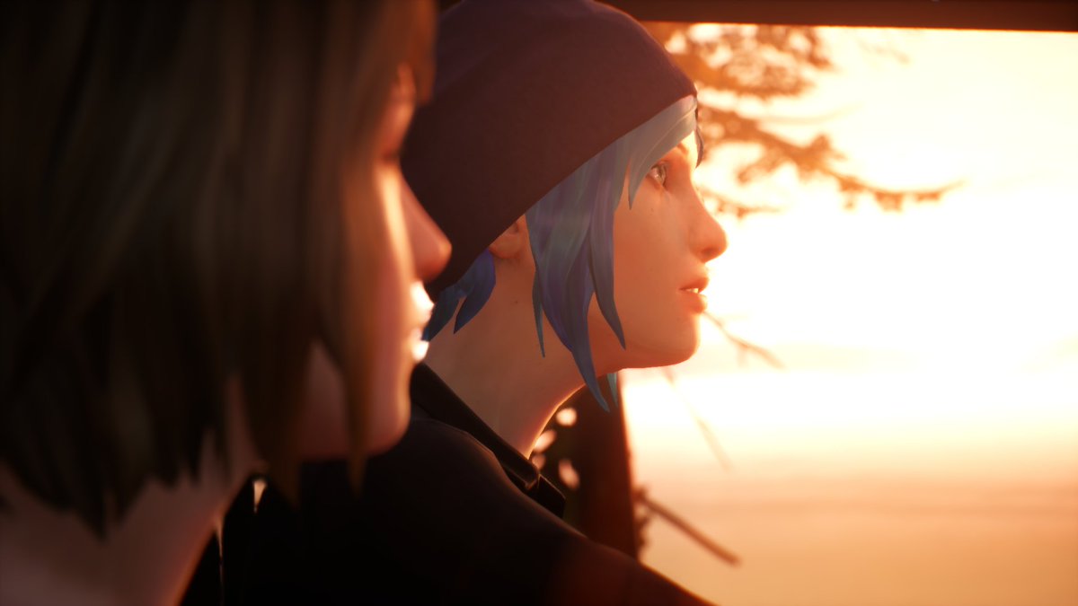 The Digital Questioner tweet media