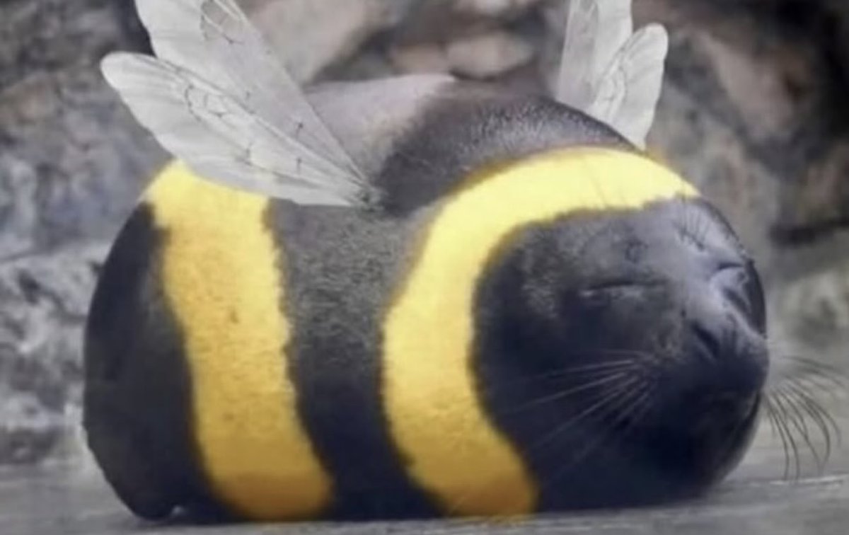 rowny gosc tweet media