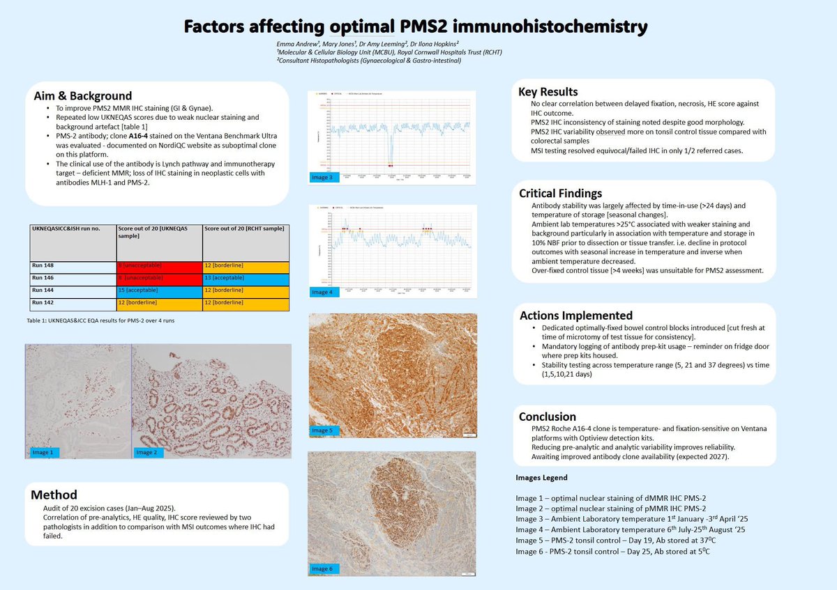 Tim Bracey tweet media