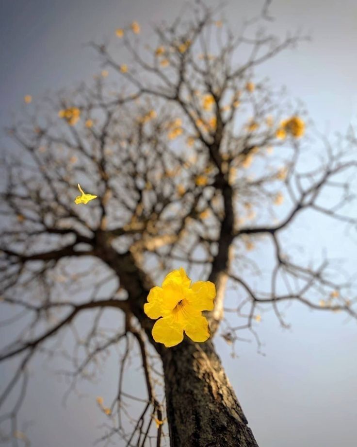 POSITIVITY tweet media