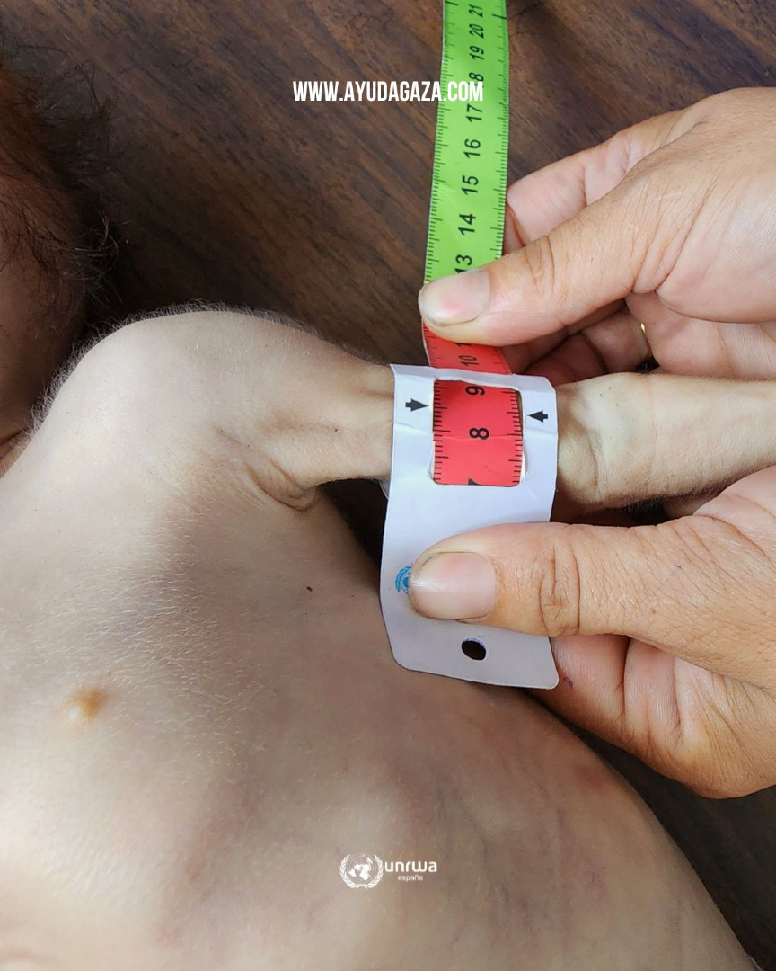 UNRWA.es tweet media