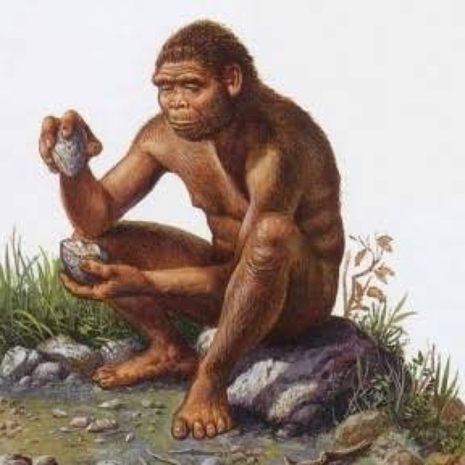 Seth 🇨🇩 tweet media