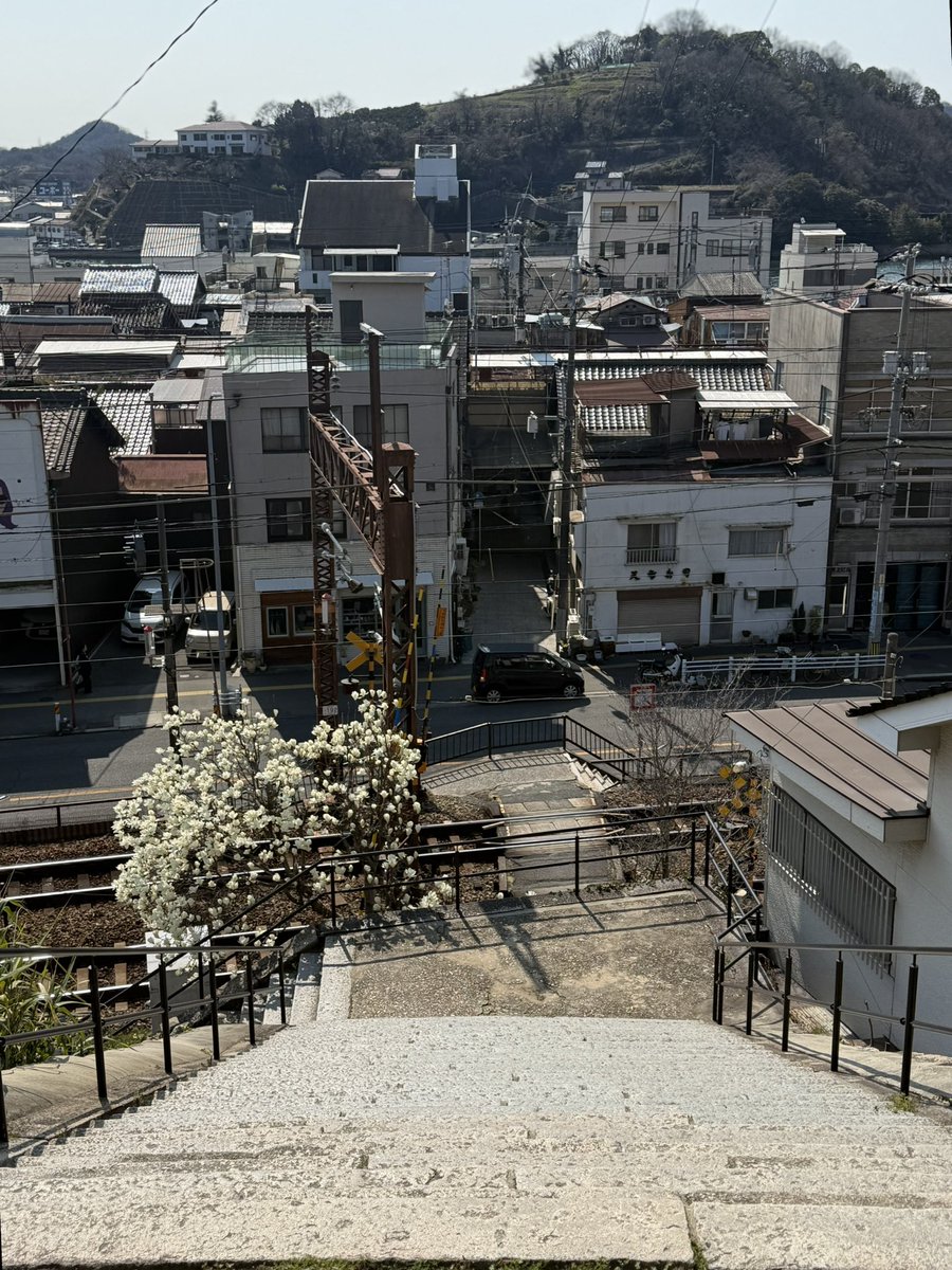 chocotoko tweet media