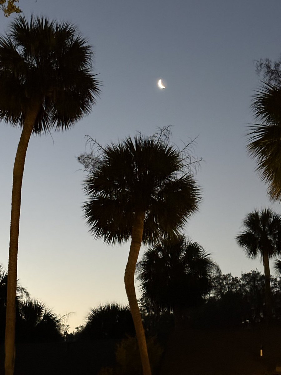 Professor Mo tweet media