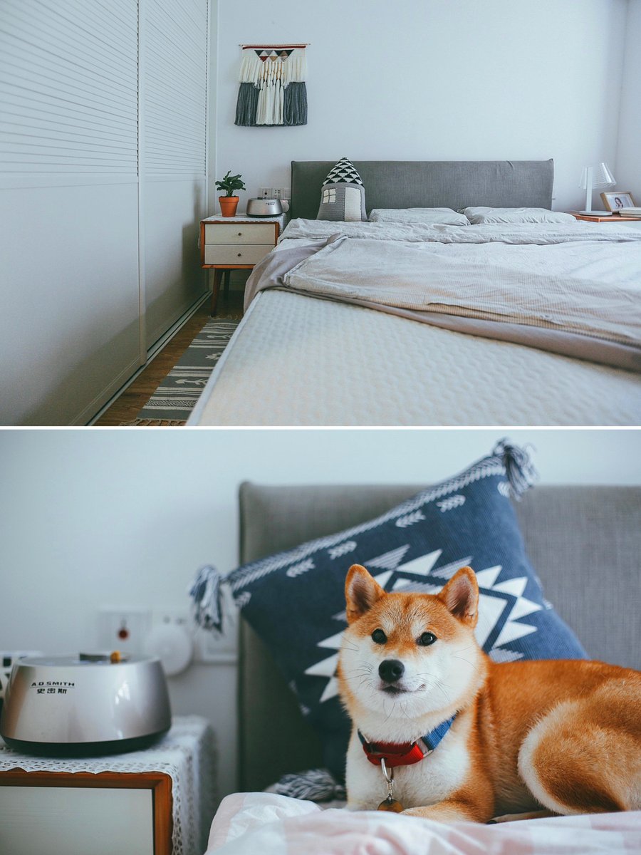 Catherine Stretch tweet media