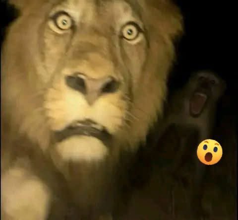 LAUGHTER '97'🇳🇬🇺🇲 tweet media