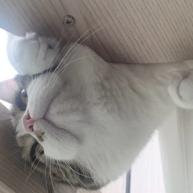 단밤 ✧☾ tweet media