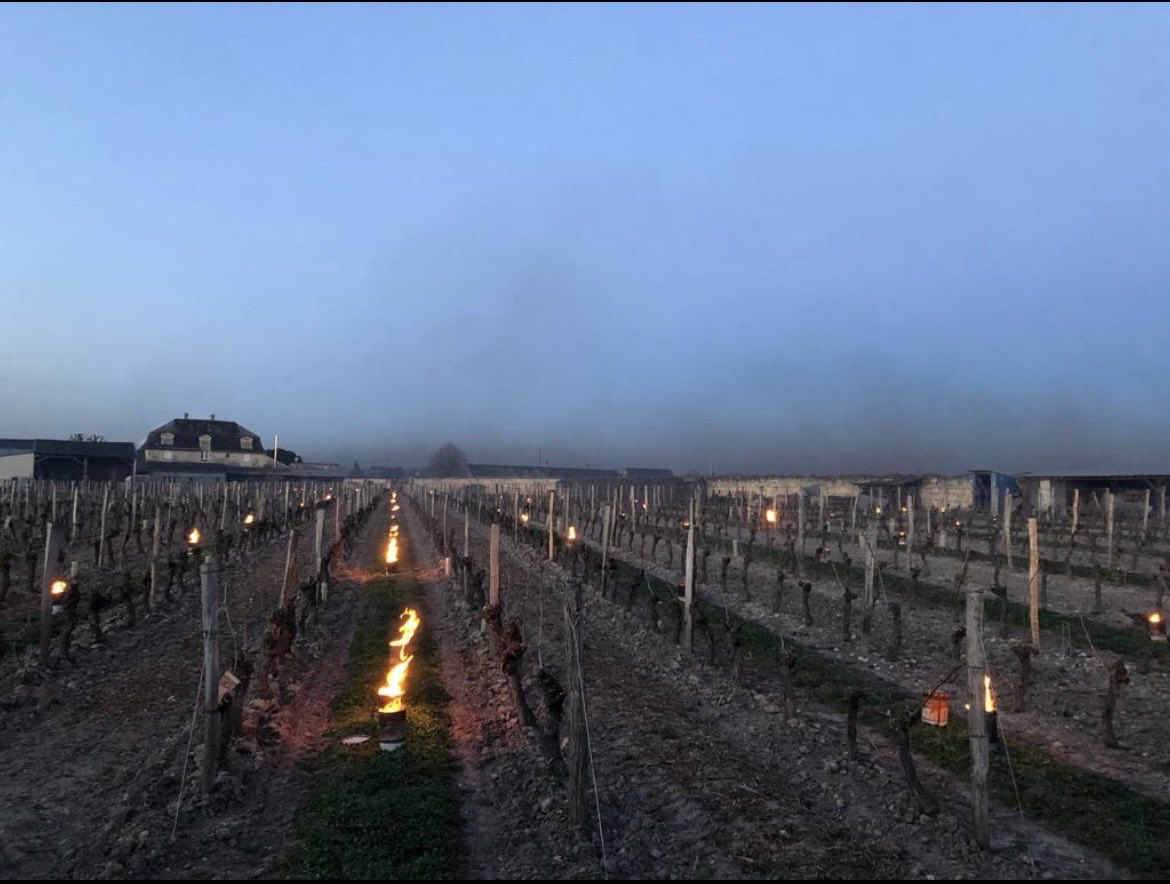 fabre jean marie tweet media