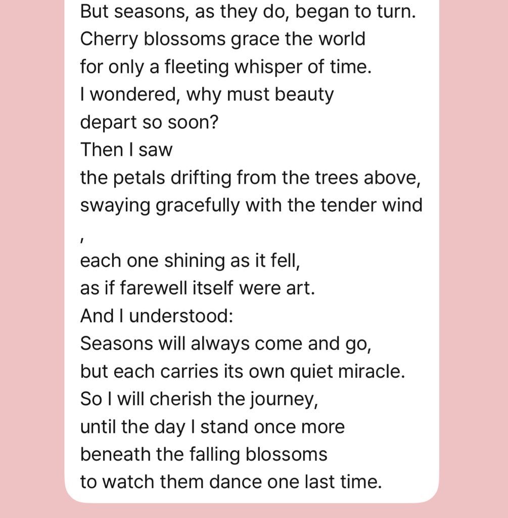 260315 🦊💬 09:41 PM KST

🦊 "Seasons of the cherry blossom"

...
I wondered, why must beauty
depart so soon?
...
So I will cherish the journey,
until the day I stand once more
beneath the falling blossoms
to watch them dance one last time.